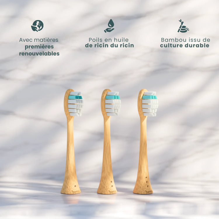 Tête de brosse Bambou Pro 3D