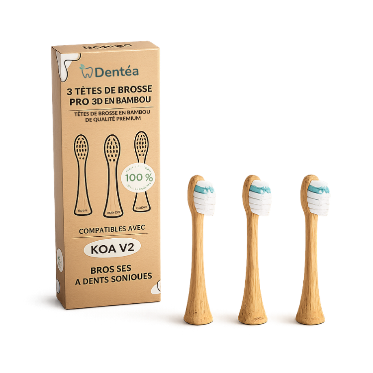 Tête de brosse Bambou Pro 3D