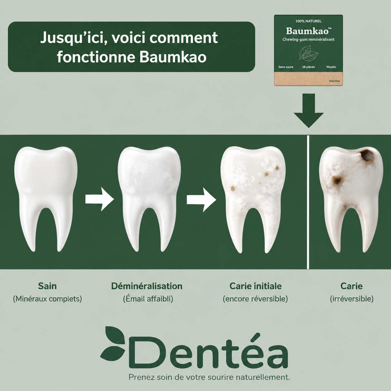 Baumkao Chewing-gum reminéralisant