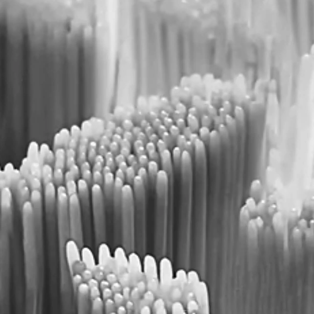 Black Matte — Brosse à dents sonique en aluminium