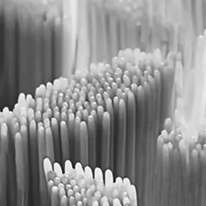 Black Matte — Brosse à dents sonique en aluminium