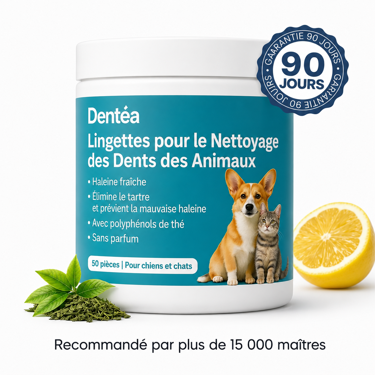 Kit de lingettes nettoyantes dentaires pour chien et chat