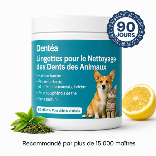 Kit de lingettes nettoyantes dentaires pour chien et chat