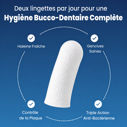 Kit de lingettes nettoyantes dentaires pour chien et chat