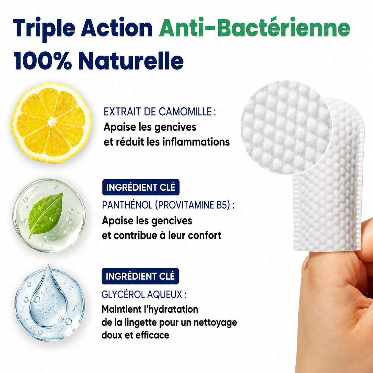 Kit de lingettes nettoyantes dentaires pour chien et chat