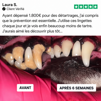 Kit de lingettes nettoyantes dentaires pour chien et chat