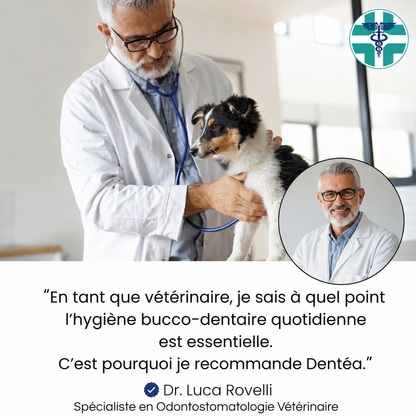Kit de lingettes nettoyantes dentaires pour chien et chat